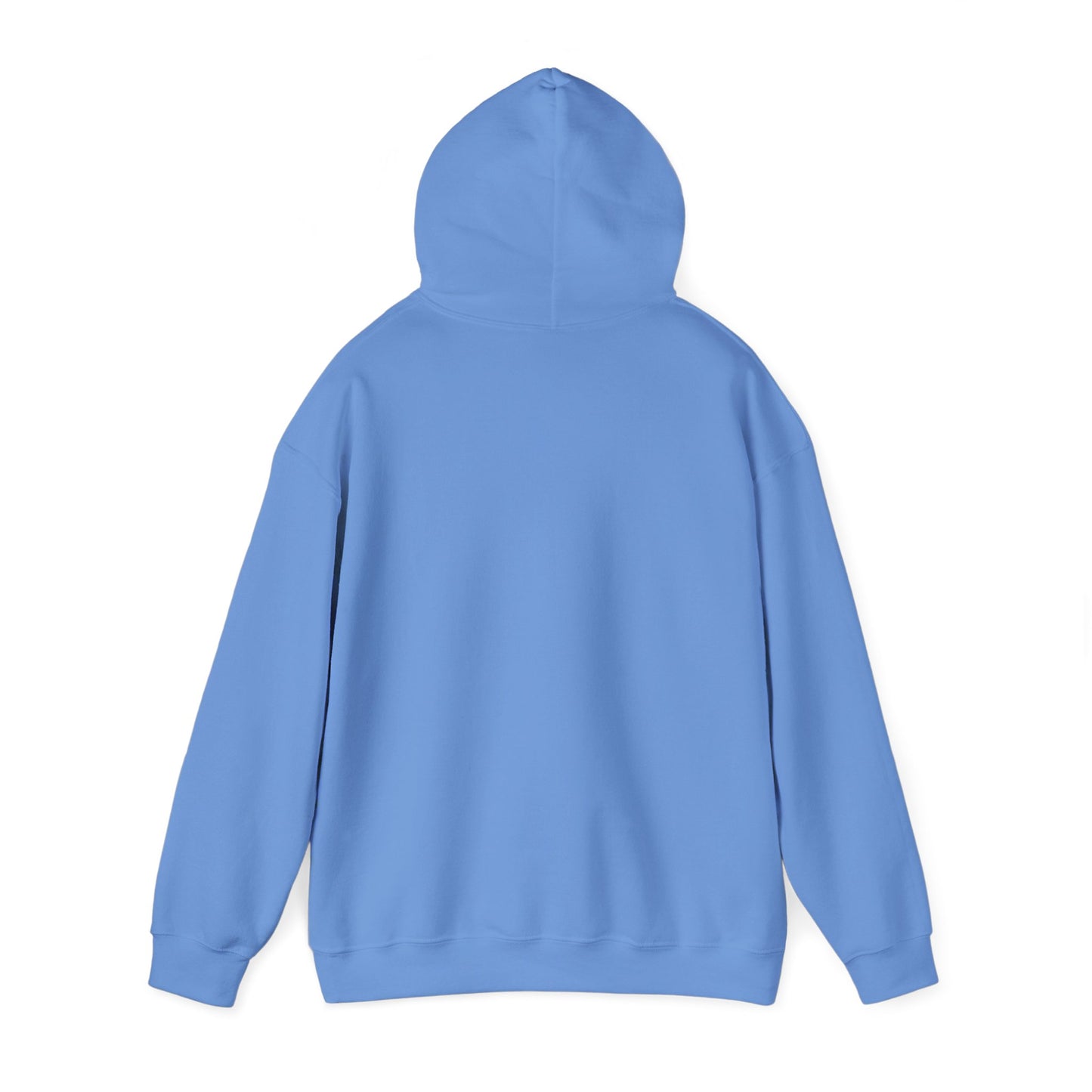 Unisex Heavy Blend™ Hooded Sweatshirt - Lake
