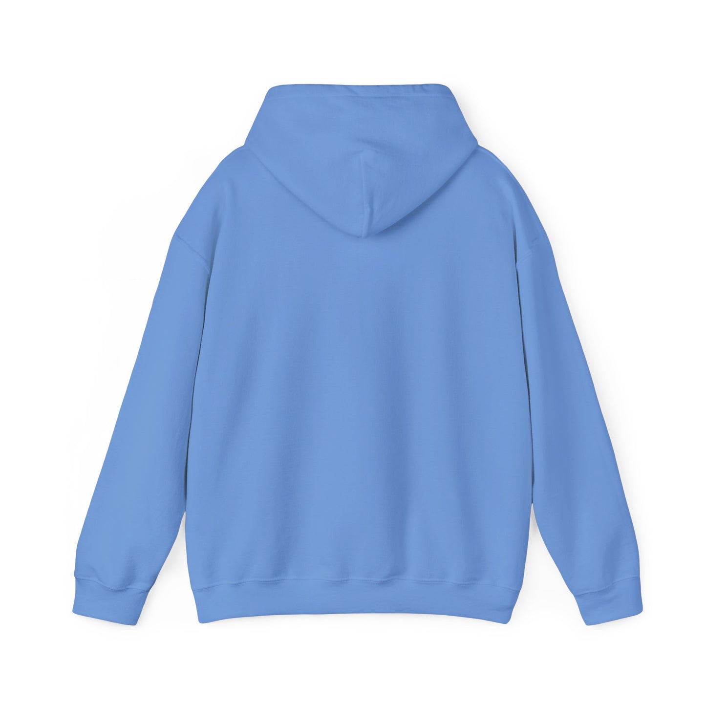 Unisex Heavy Blend™ Hooded Sweatshirt - Lake