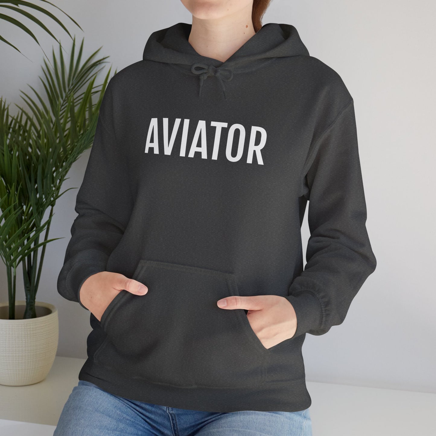 Unisex Heavy Blend™ Hooded Sweatshirt - AVIATOR