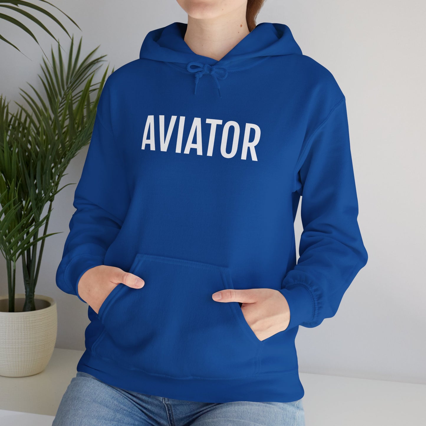Unisex Heavy Blend™ Hooded Sweatshirt - AVIATOR