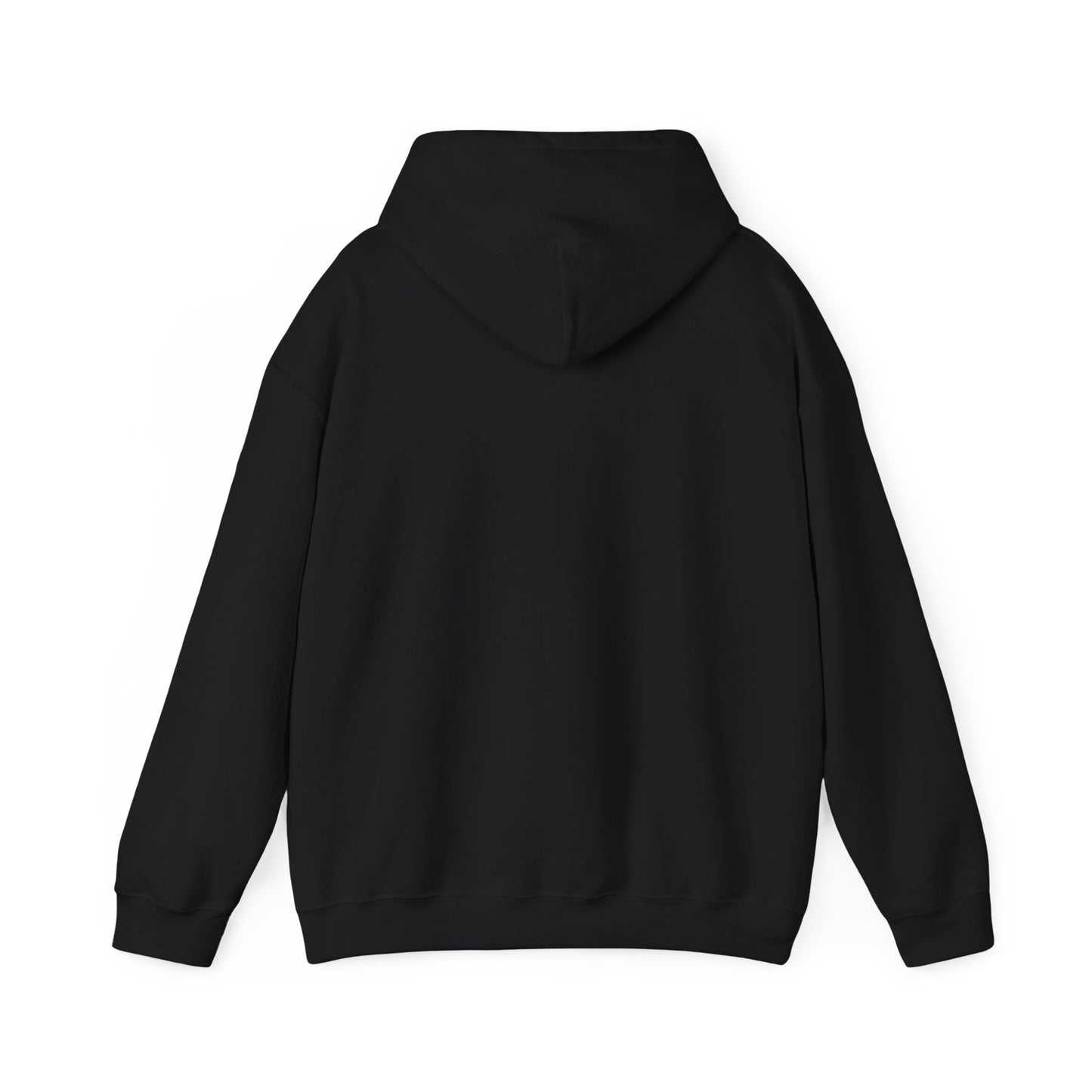 Unisex Heavy Blend™ Hooded Sweatshirt - AVIATOR