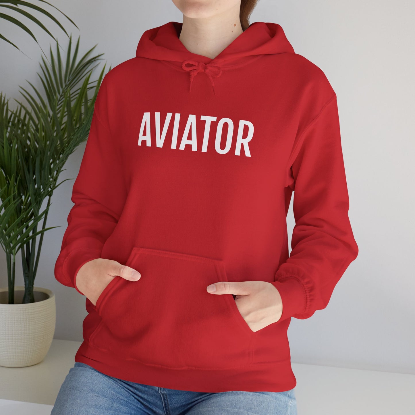Unisex Heavy Blend™ Hooded Sweatshirt - AVIATOR