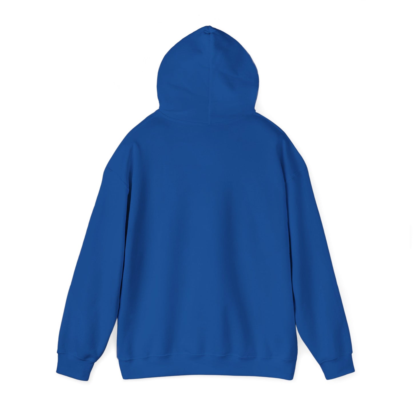 Unisex Heavy Blend™ Hooded Sweatshirt - AVIATOR