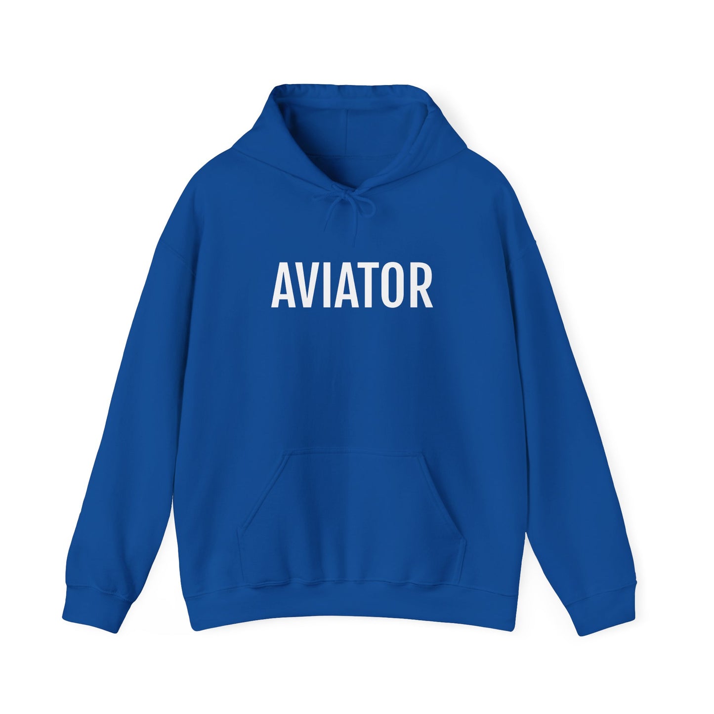 Unisex Heavy Blend™ Hooded Sweatshirt - AVIATOR