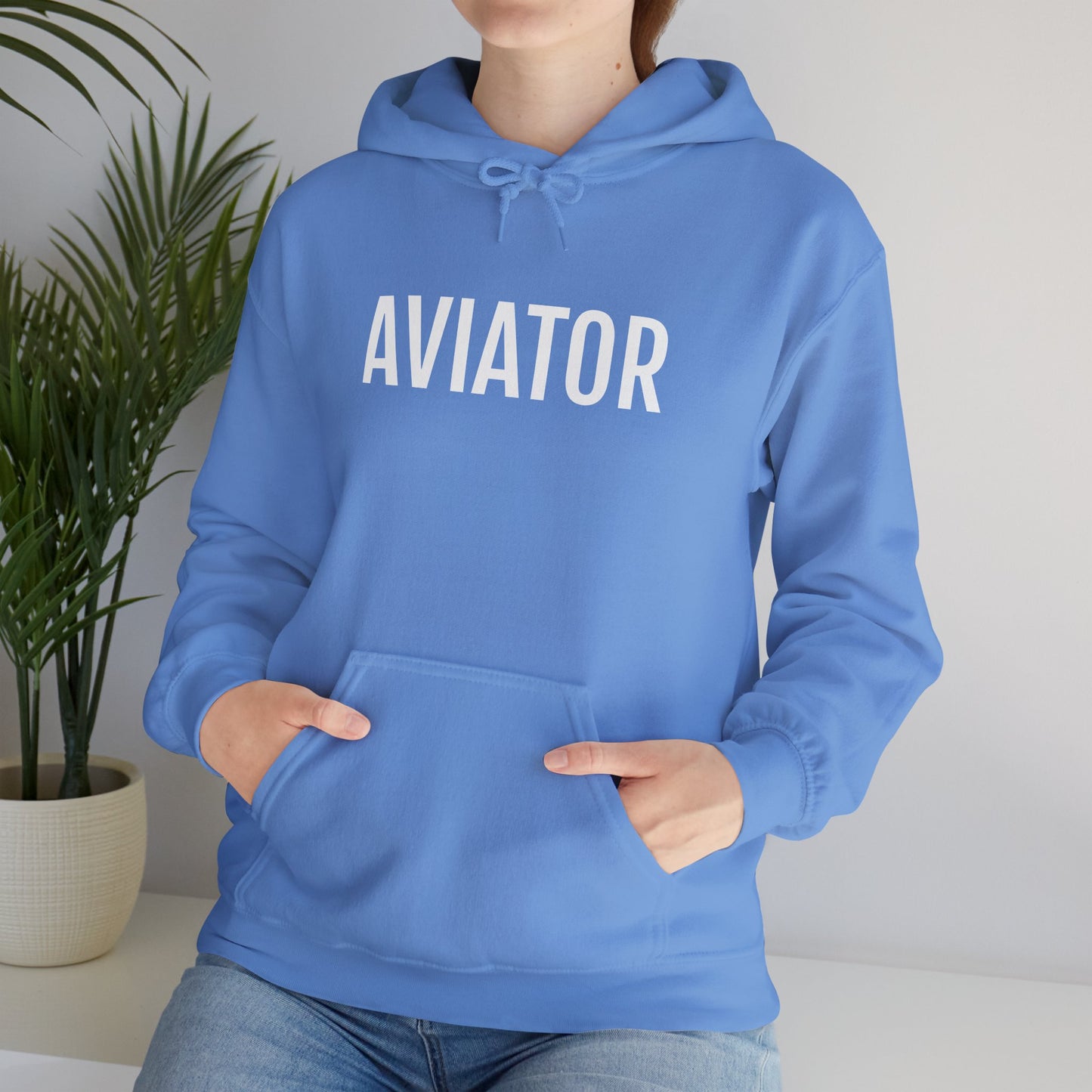 Unisex Heavy Blend™ Hooded Sweatshirt - AVIATOR