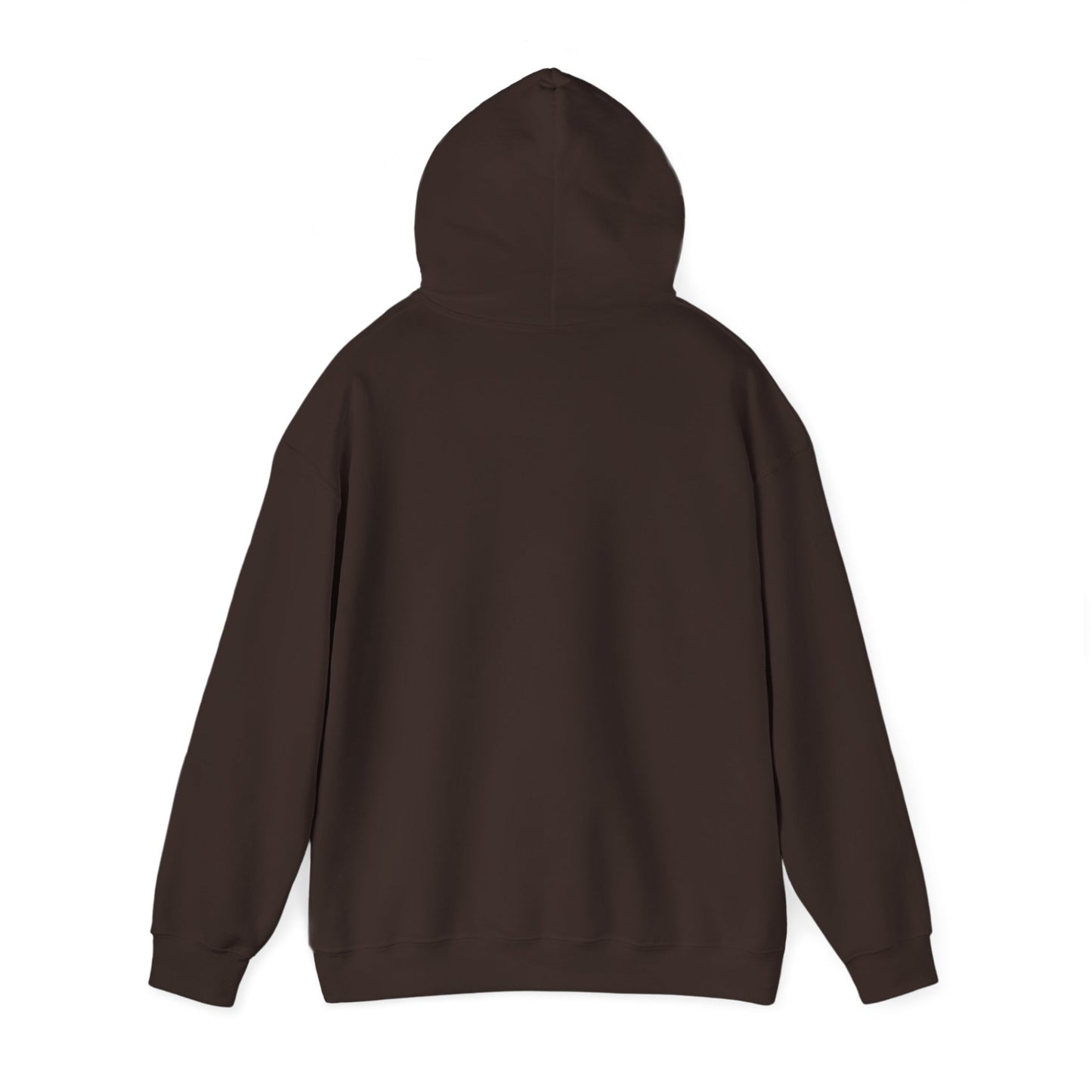 Unisex Heavy Blend™ Hooded Sweatshirt - AVIATOR