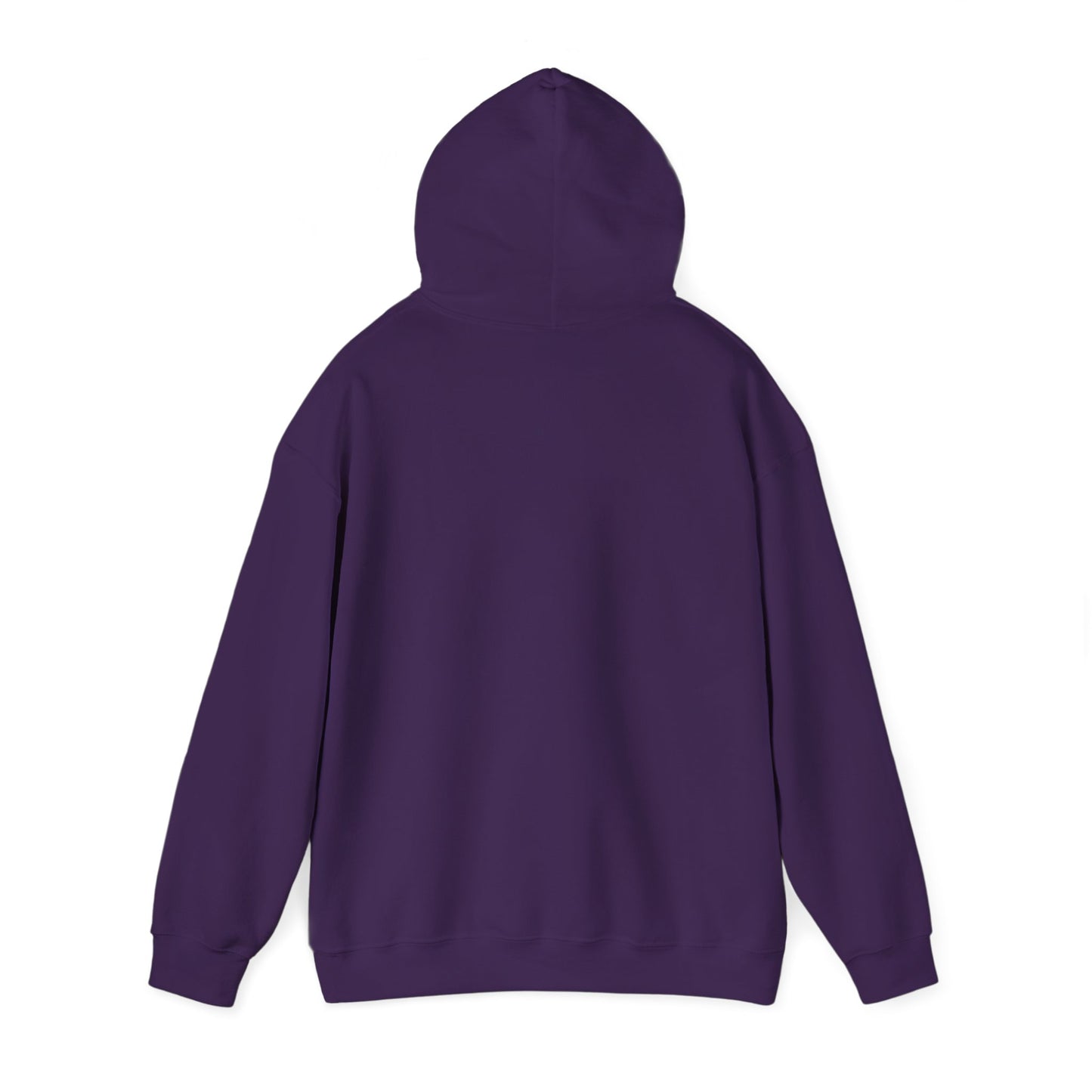 Unisex Heavy Blend™ Hooded Sweatshirt - AVIATOR