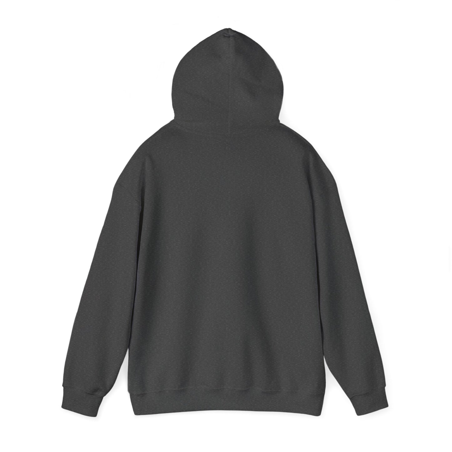 Unisex Heavy Blend™ Hooded Sweatshirt - Lake