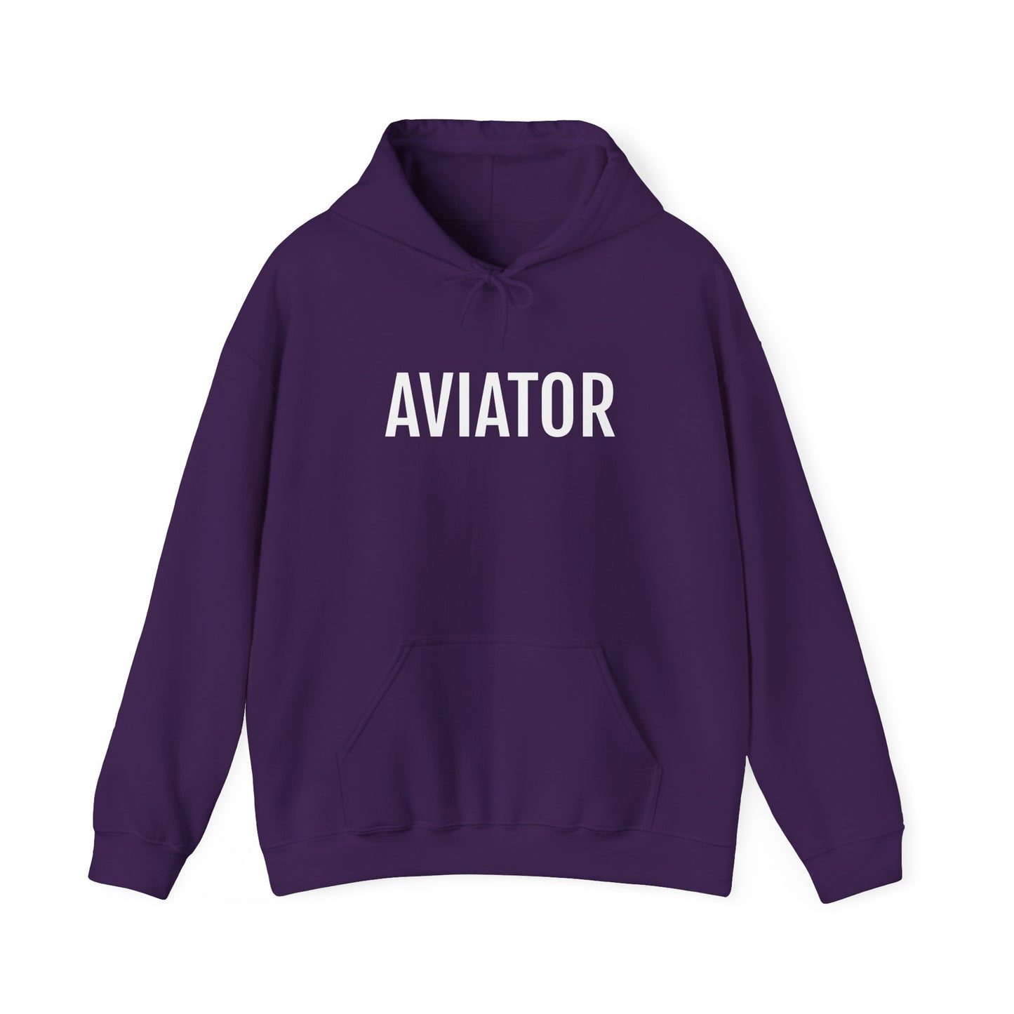 Unisex Heavy Blend™ Hooded Sweatshirt - AVIATOR