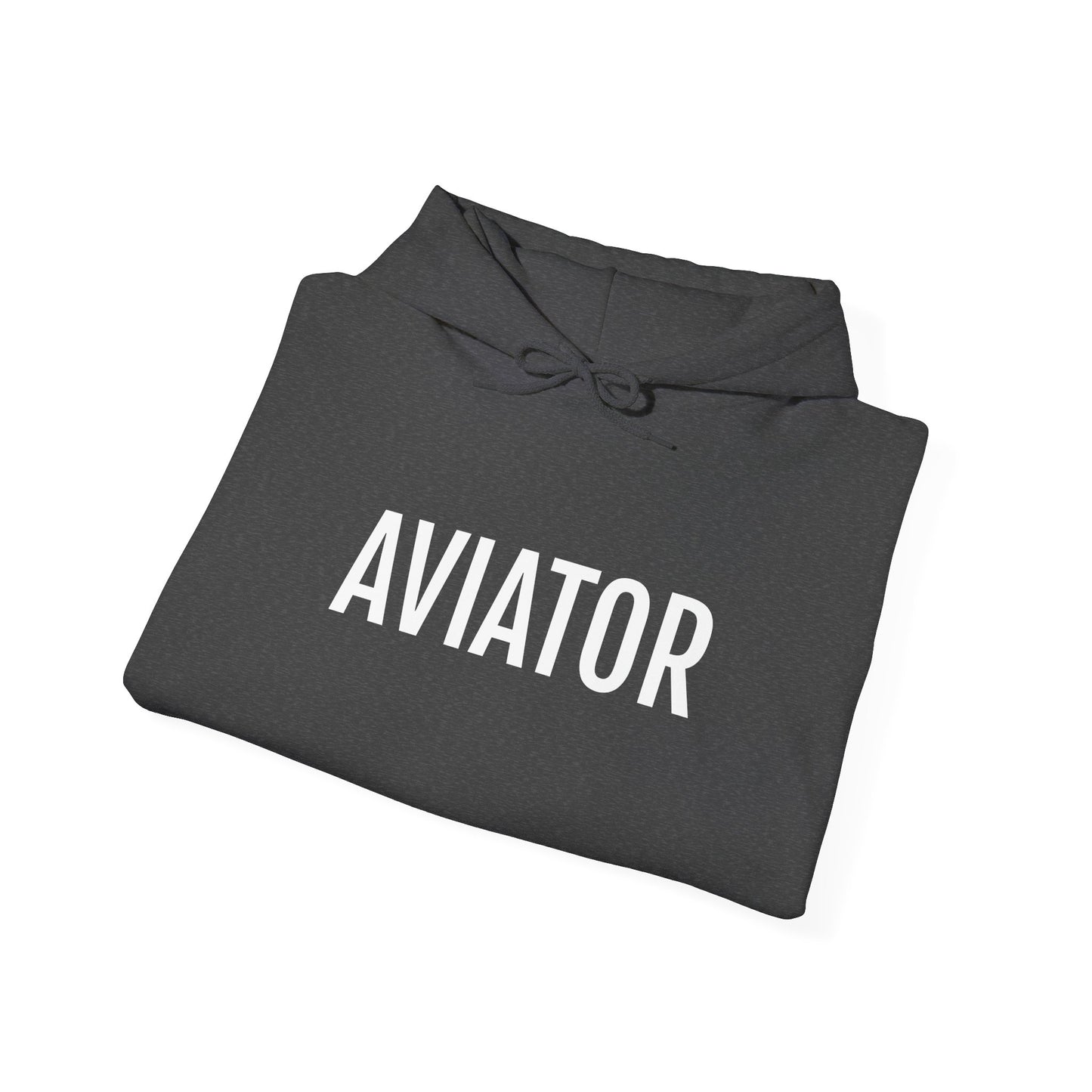 Unisex Heavy Blend™ Hooded Sweatshirt - AVIATOR